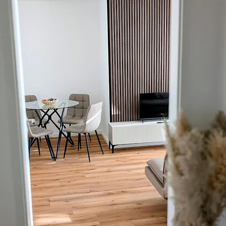 Apartment Komplett Renovierte Design-wohnung In Stadtnähe *
