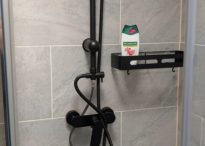 Komplett Renovierte Design-wohnung In Stadtnaehe Appartement
